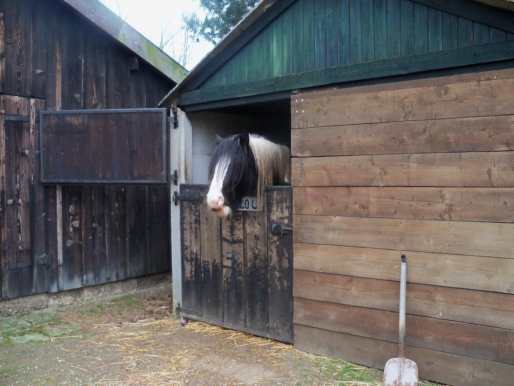 Hoeve Heidonk Horn Exterior photo